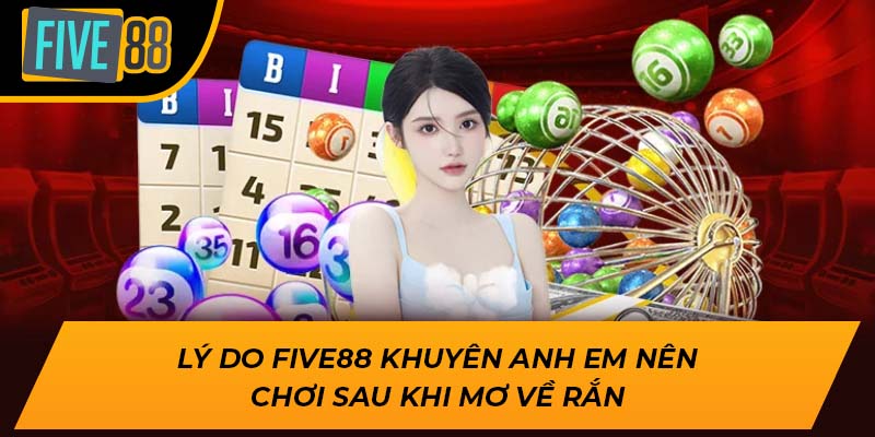 Tìm Hiểu Về Mơ Thấy Rắn Là Đang Báo Mộng Điều Gì Tại Five88 3 Lý do Five88 khuyên anh em nên chơi sau khi mơ về rắn